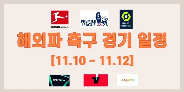 해외파 축구 경기 : 11.10 ~ 11.12